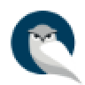 Camera is offline